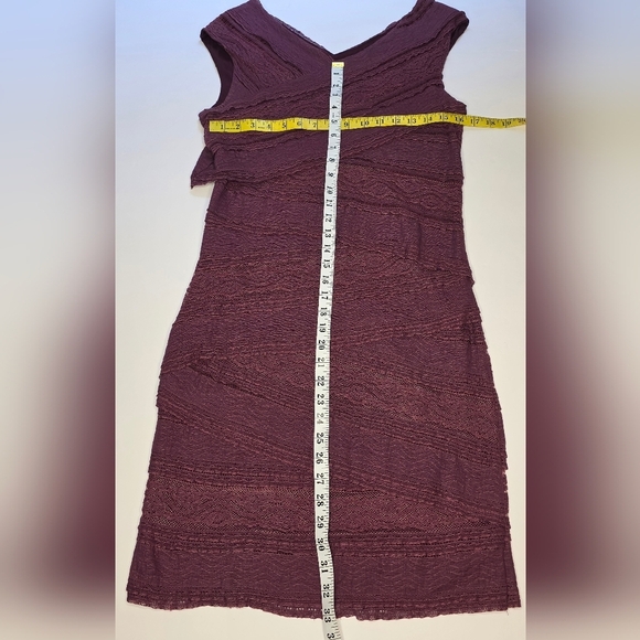 Hem And Thread Lacey Fitted Dress, Plum Colour, Cotton Blend, Lg - Picture 7 of 10